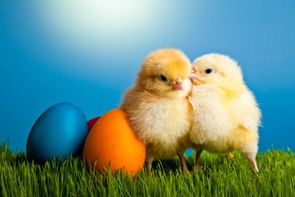 Wesołych Świąt Wielkanocnych